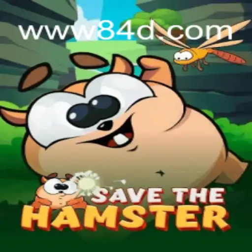 Discovering the Adventures of SavetheHamster: A Game Revolutionizing Digital Entertainment