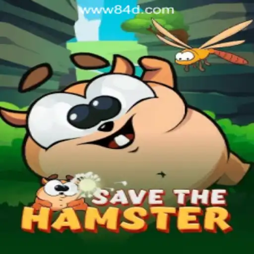 Discovering the Adventures of SavetheHamster: A Game Revolutionizing Digital Entertainment